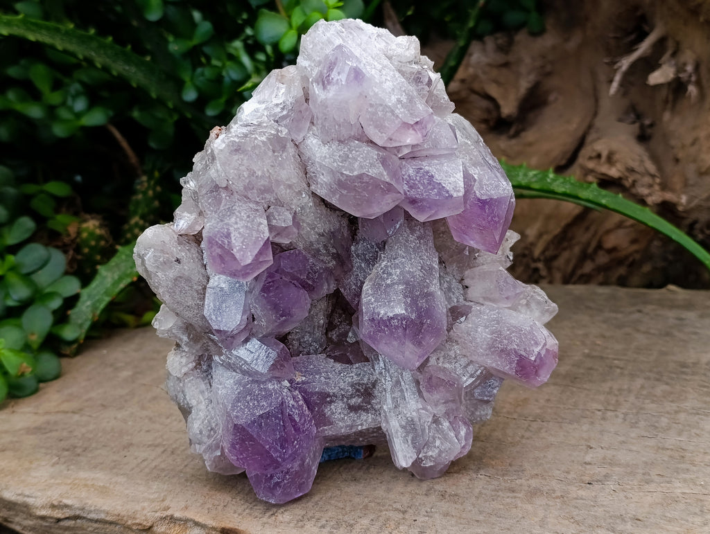 Natural Jacaranda Amethyst Quartz Clusters 2 x from Mumbwa, Zambia - Toprock Gemstones and Minerals 