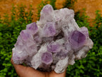 Natural Jacaranda Amethyst Quartz Clusters 2 x from Mumbwa, Zambia - Toprock Gemstones and Minerals 