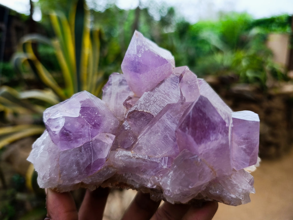 Natural Jacaranda Amethyst Quartz Clusters 2 x from Mumbwa, Zambia - Toprock Gemstones and Minerals 