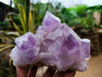 Natural Jacaranda Amethyst Quartz Clusters 2 x from Mumbwa, Zambia - Toprock Gemstones and Minerals 