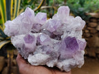 Natural Jacaranda Amethyst Quartz Clusters 2 x from Mumbwa, Zambia - Toprock Gemstones and Minerals 