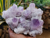 Natural Jacaranda Amethyst Quartz Clusters 2 x from Mumbwa, Zambia - Toprock Gemstones and Minerals 