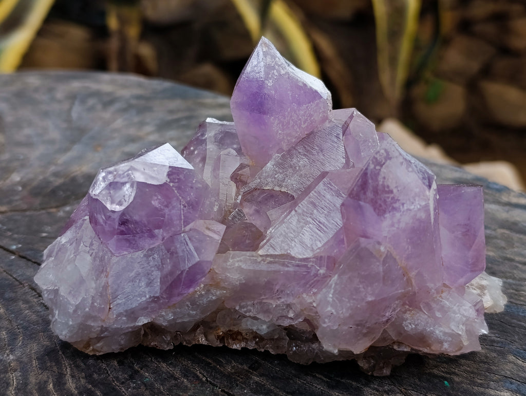 Natural Jacaranda Amethyst Quartz Clusters 2 x from Mumbwa, Zambia - Toprock Gemstones and Minerals 