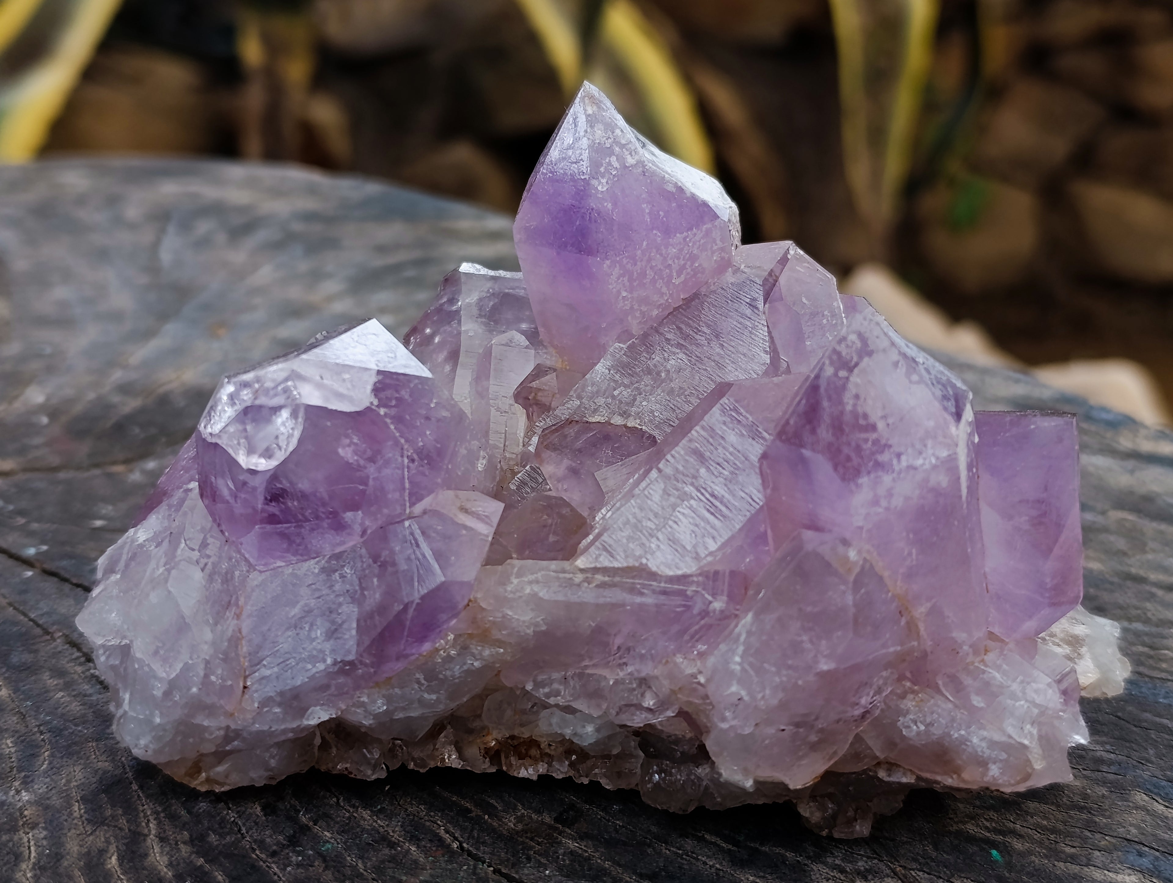 Natural Jacaranda Amethyst Quartz Clusters 2 x from Mumbwa, Zambia - Toprock Gemstones and Minerals 
