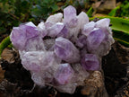 Natural Jacaranda Amethyst Quartz Clusters 2 x from Mumbwa, Zambia - Toprock Gemstones and Minerals 