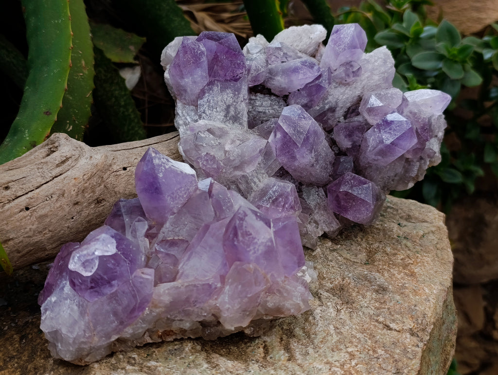 Natural Jacaranda Amethyst Quartz Clusters 2 x from Mumbwa, Zambia - Toprock Gemstones and Minerals 