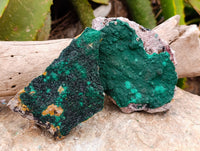 Natural Crystalline and Botryoidal  Malachite Specimens x 6 From Tenke Fungurume, Congo - Toprock Gemstones and Minerals 
