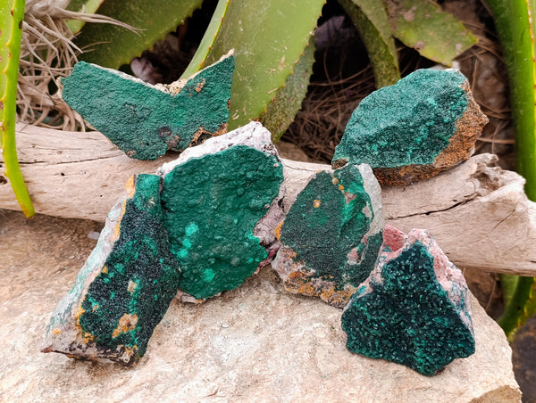 Natural Crystalline and Botryoidal  Malachite Specimens x 6 From Tenke Fungurume, Congo