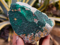 Natural Crystalline and Botryoidal  Malachite Specimens x 6 From Tenke Fungurume, Congo - Toprock Gemstones and Minerals 