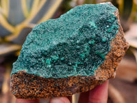 Natural Crystalline and Botryoidal  Malachite Specimens x 6 From Tenke Fungurume, Congo - Toprock Gemstones and Minerals 
