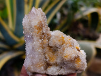 Natural Mixed Spirit Quartz Clusters x 24 From Boekenhouthoek, South Africa - Toprock Gemstones and Minerals 