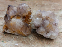 Natural Mixed Spirit Quartz Clusters x 24 From Boekenhouthoek, South Africa - Toprock Gemstones and Minerals 