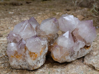 Natural Mixed Spirit Quartz Clusters x 24 From Boekenhouthoek, South Africa - Toprock Gemstones and Minerals 
