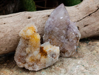 Natural Mixed Spirit Quartz Clusters x 24 From Boekenhouthoek, South Africa - Toprock Gemstones and Minerals 