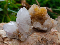 Natural Mixed Spirit Quartz Clusters x 24 From Boekenhouthoek, South Africa - Toprock Gemstones and Minerals 