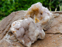 Natural Mixed Spirit Quartz Clusters x 24 From Boekenhouthoek, South Africa - Toprock Gemstones and Minerals 