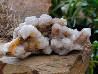 Natural Mixed Spirit Quartz Clusters x 24 From Boekenhouthoek, South Africa - Toprock Gemstones and Minerals 