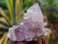 Natural Mixed Spirit Quartz Clusters x 24 From Boekenhouthoek, South Africa - Toprock Gemstones and Minerals 