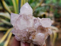 Natural Mixed Spirit Quartz Clusters x 24 From Boekenhouthoek, South Africa - Toprock Gemstones and Minerals 
