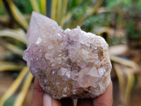 Natural Mixed Spirit Quartz Clusters x 24 From Boekenhouthoek, South Africa - Toprock Gemstones and Minerals 