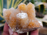 Natural Mixed Spirit Quartz Clusters x 24 From Boekenhouthoek, South Africa - Toprock Gemstones and Minerals 