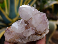 Natural Mixed Spirit Quartz Clusters x 24 From Boekenhouthoek, South Africa - Toprock Gemstones and Minerals 