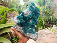 Natural Exceptional Rare Dioptase and Drusy Dolomite Museum Specimen x 1 From Manamba Mine, Congo