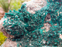 Natural Exceptional Rare Dioptase and Drusy Dolomite Museum Specimen x 1 From Manamba Mine, Congo