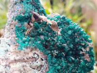 Natural Exceptional Rare Dioptase and Drusy Dolomite Museum Specimen x 1 From Manamba Mine, Congo
