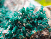 Natural Exceptional Rare Dioptase and Drusy Dolomite Museum Specimen x 1 From Manamba Mine, Congo