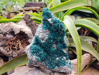Natural Exceptional Rare Dioptase and Drusy Dolomite Museum Specimen x 1 From Manamba Mine, Congo