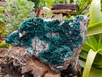 Natural Exceptional Rare Dioptase and Drusy Dolomite Museum Specimen x 1 From Manamba Mine, Congo