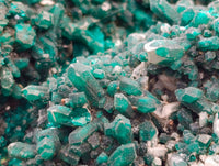 Natural Exceptional Rare Dioptase and Drusy Dolomite Museum Specimen x 1 From Manamba Mine, Congo
