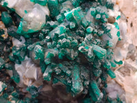 Natural Exceptional Rare Dioptase and Drusy Dolomite Museum Specimen x 1 From Manamba Mine, Congo