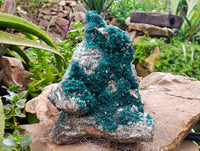 Natural Exceptional Rare Dioptase and Drusy Dolomite Museum Specimen x 1 From Manamba Mine, Congo