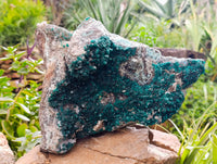 Natural Exceptional Rare Dioptase and Drusy Dolomite Museum Specimen x 1 From Manamba Mine, Congo
