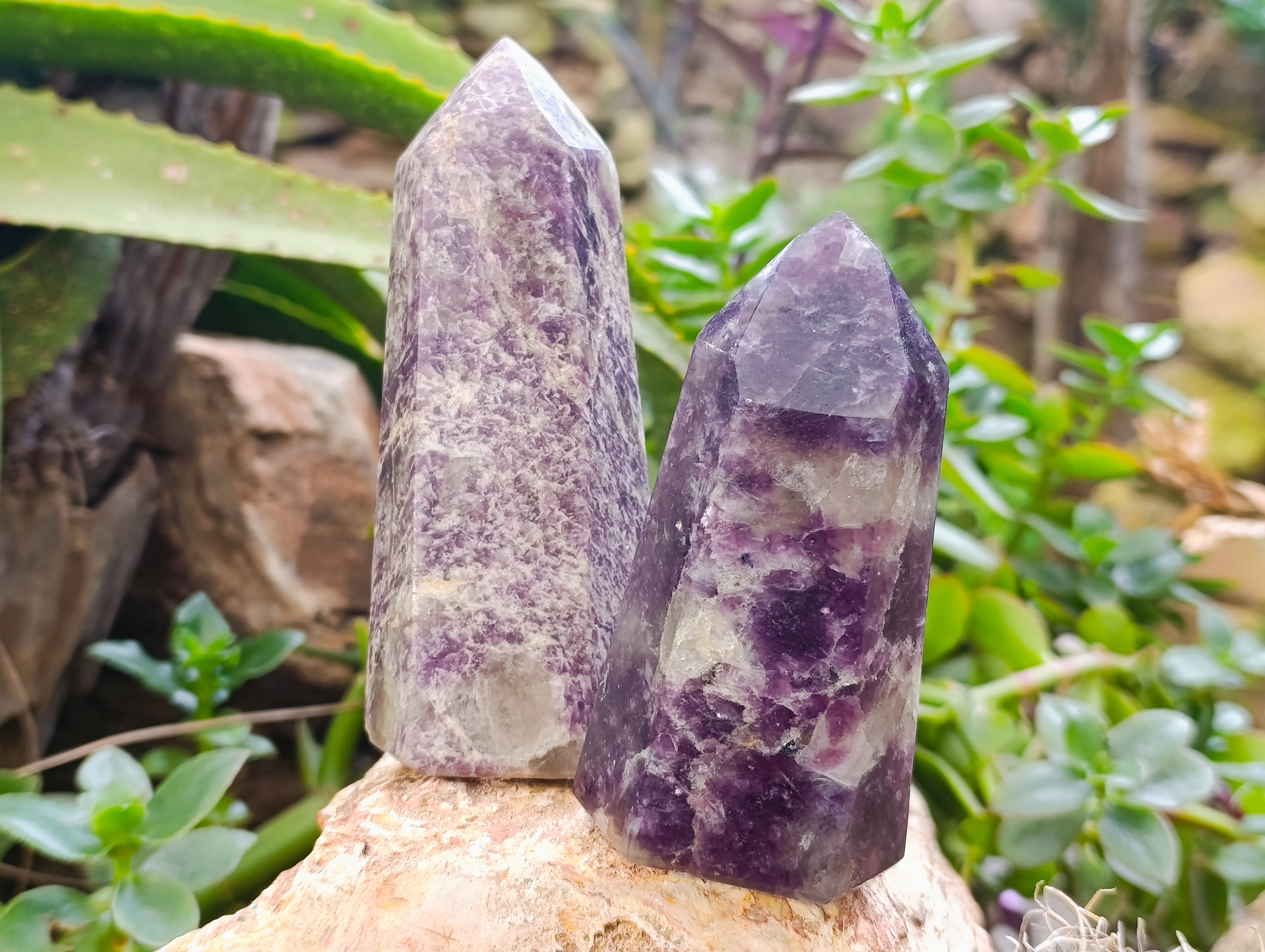 Polished Lepidolite Points x 4 From Vakinankaratra, Madagascar - Toprock Gemstones and Minerals 