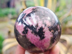 Polished Rhodonite Spheres x 4 From Ambindavato, Madagascar - Toprock Gemstones and Minerals 