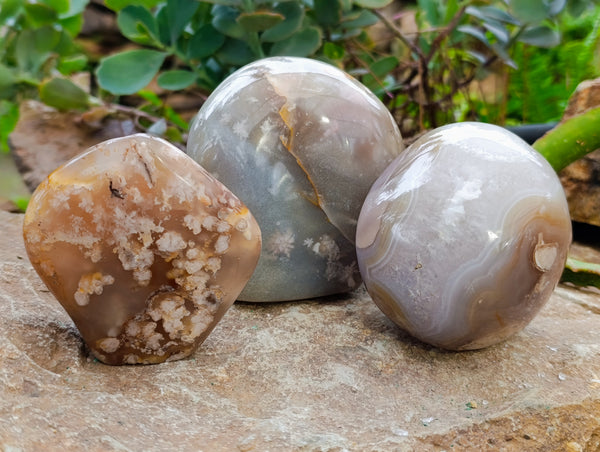 Polished Fossil Flower Agate Standing Free Forms x 3 From Antsahalova, Madagascar