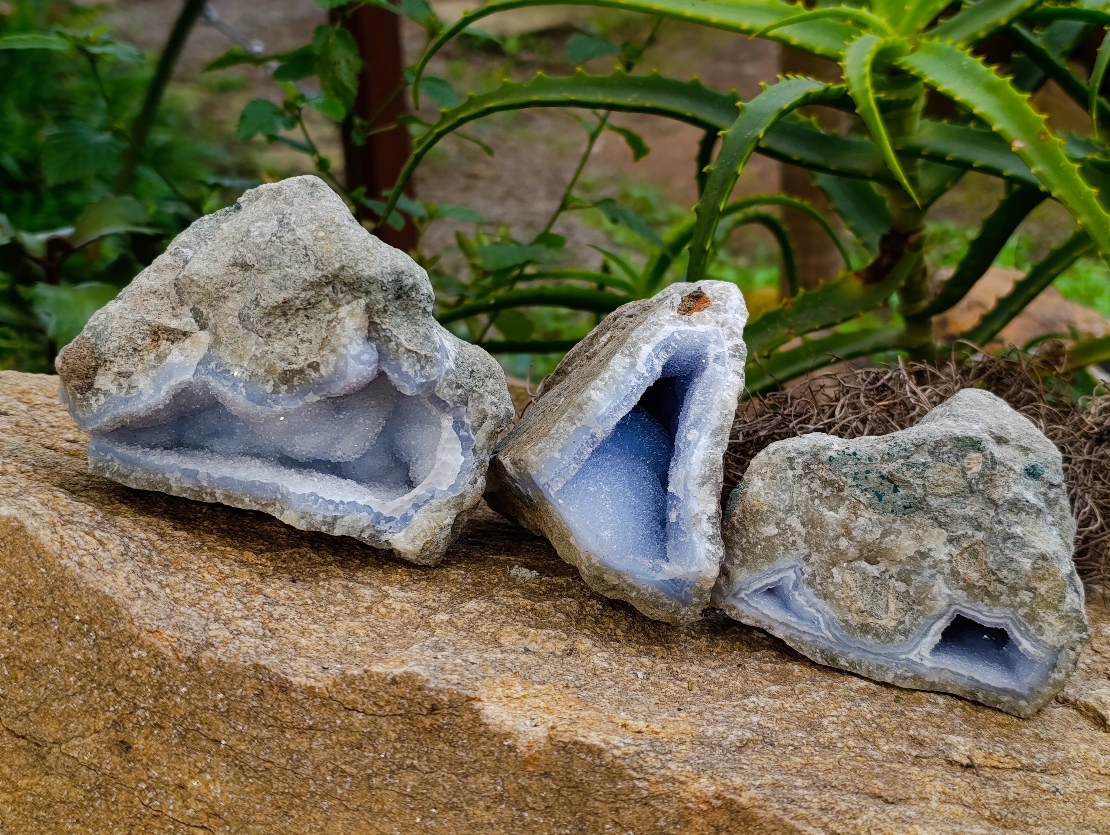 Natural Blue Lace Agate Geode Specimens x 6 From Nsanje, Malawi - Toprock Gemstones and Minerals 
