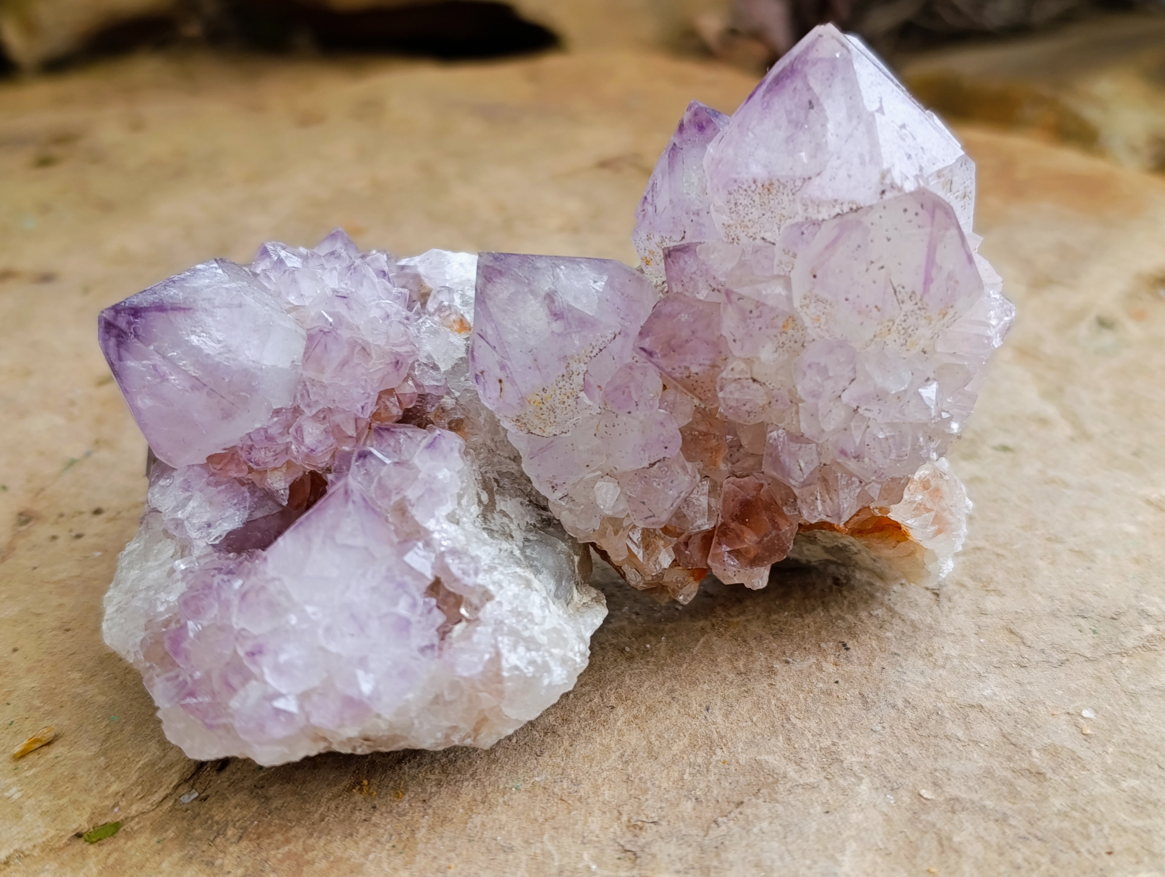 Natural Amethyst Spirit Quartz Clusters x 12 From Boekenhouthoek, South Africa - Toprock Gemstones and Minerals 