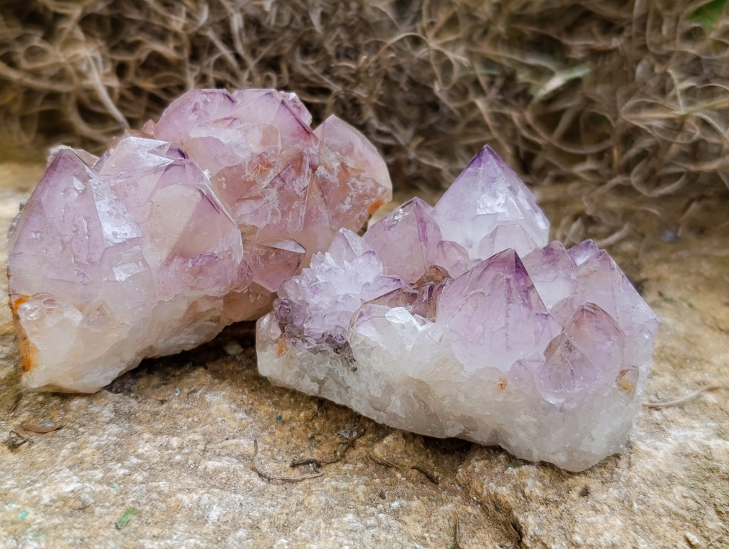 Natural Amethyst Spirit Quartz Clusters x 12 From Boekenhouthoek, South Africa - Toprock Gemstones and Minerals 