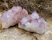 Natural Amethyst Spirit Quartz Clusters x 12 From Boekenhouthoek, South Africa