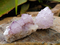 Natural Amethyst Spirit Quartz Clusters x 12 From Boekenhouthoek, South Africa