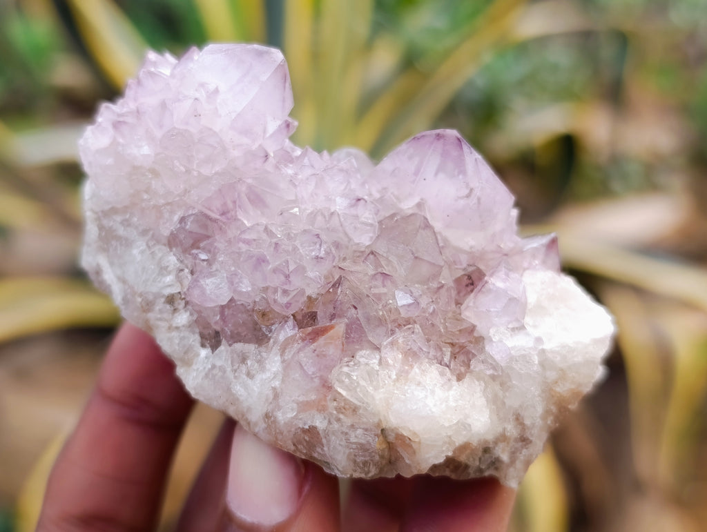 Natural Amethyst Spirit Quartz Clusters x 12 From Boekenhouthoek, South Africa - Toprock Gemstones and Minerals 