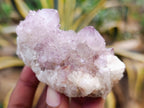 Natural Amethyst Spirit Quartz Clusters x 12 From Boekenhouthoek, South Africa - Toprock Gemstones and Minerals 