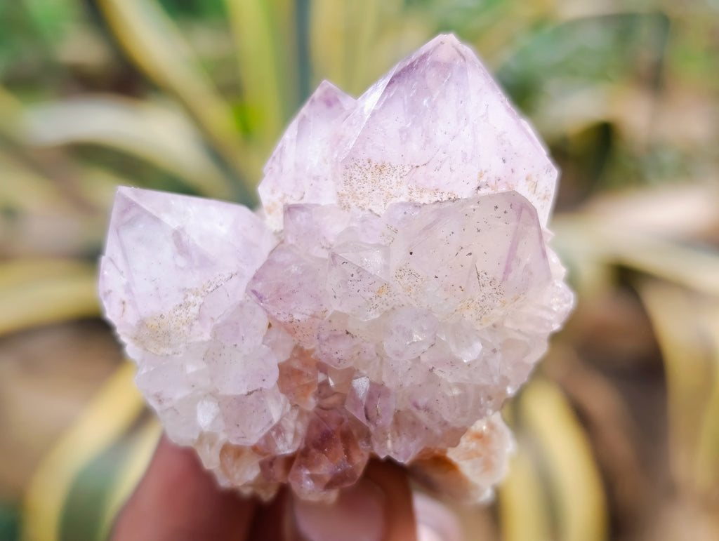 Natural Amethyst Spirit Quartz Clusters x 12 From Boekenhouthoek, South Africa - Toprock Gemstones and Minerals 