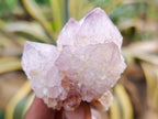 Natural Amethyst Spirit Quartz Clusters x 12 From Boekenhouthoek, South Africa - Toprock Gemstones and Minerals 