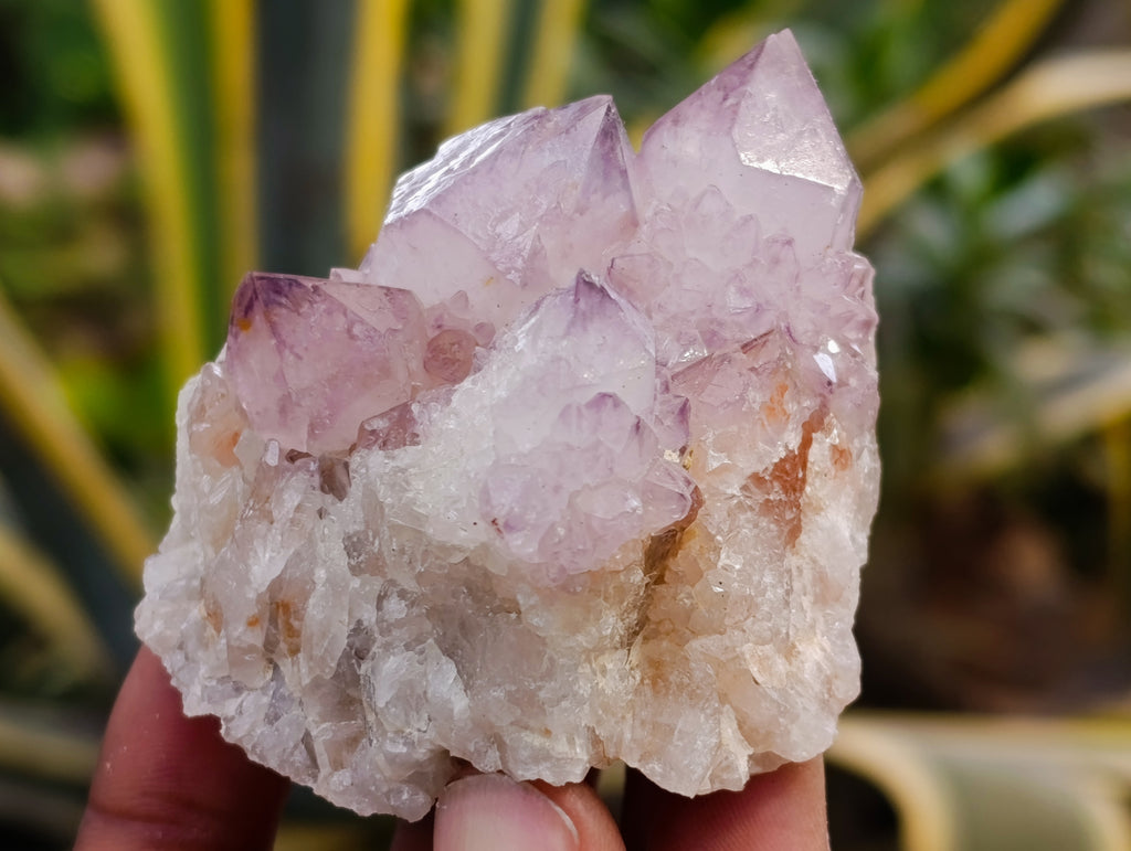 Natural Amethyst Spirit Quartz Clusters x 12 From Boekenhouthoek, South Africa - Toprock Gemstones and Minerals 