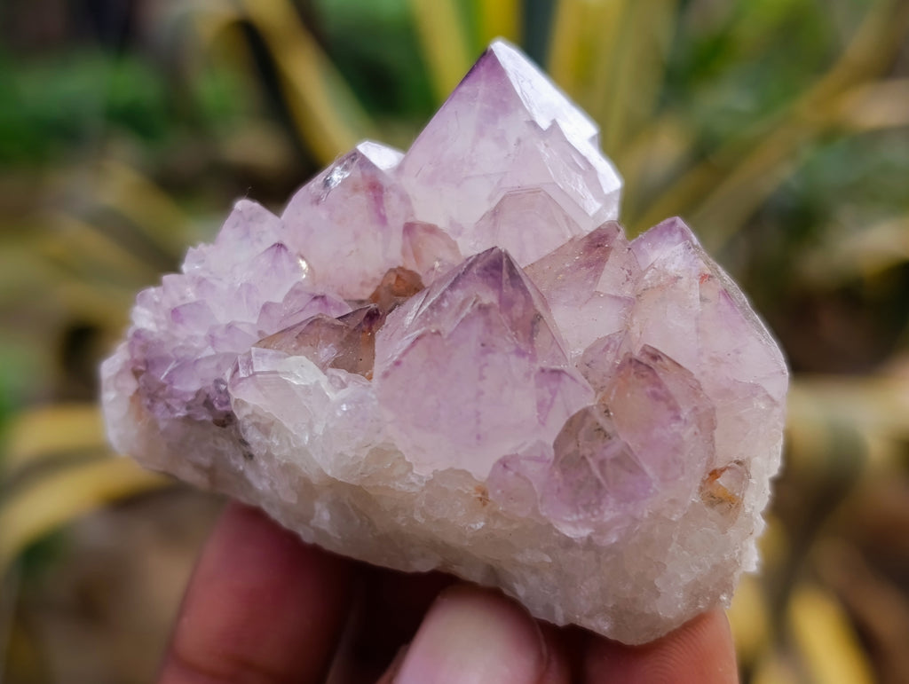 Natural Amethyst Spirit Quartz Clusters x 12 From Boekenhouthoek, South Africa - Toprock Gemstones and Minerals 